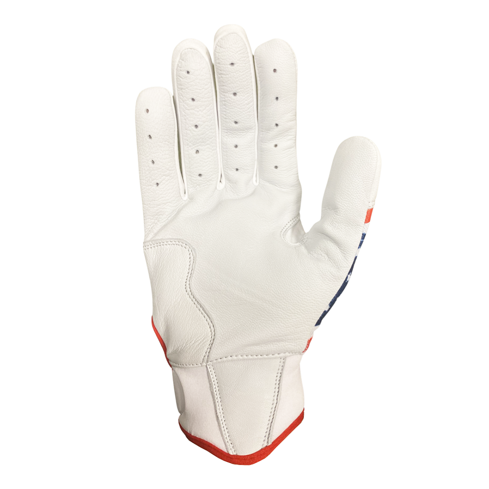 Sting Squad USA Batting Gloves Stinger Sports