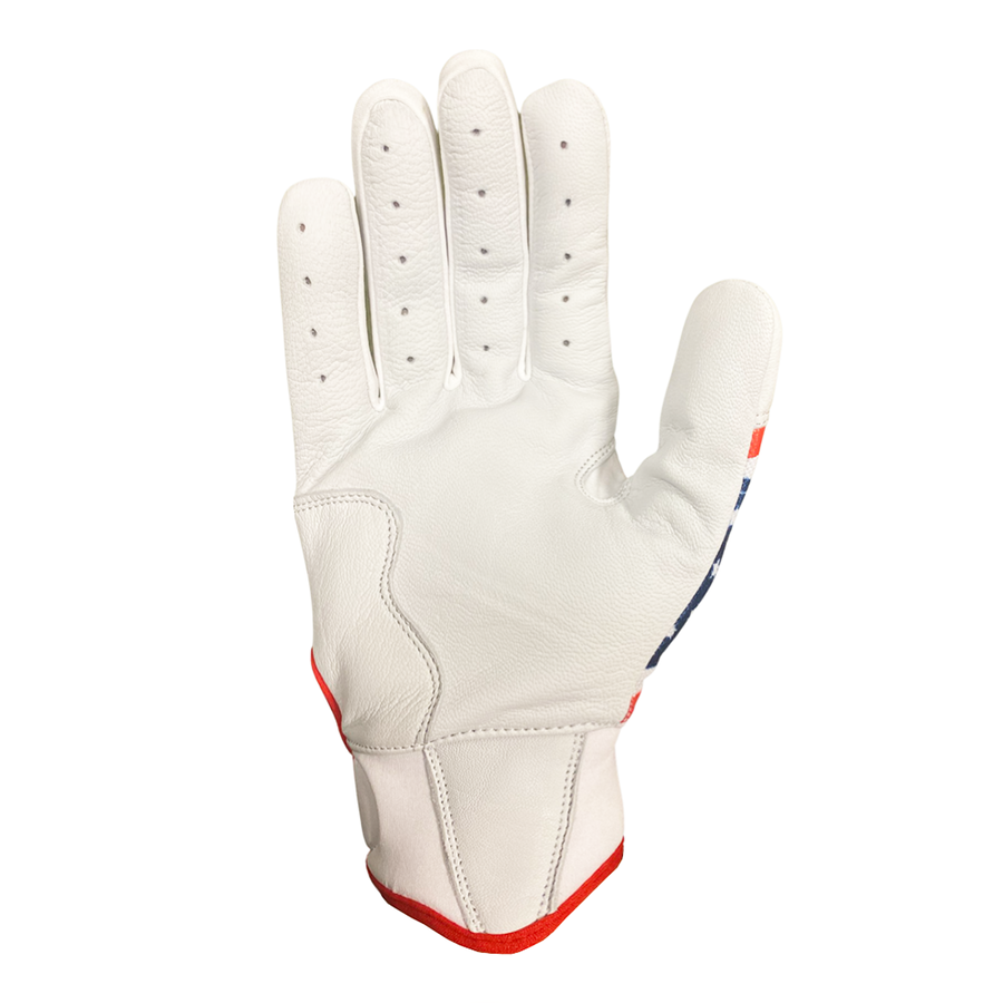 Sting Squad Batting Gloves - USA